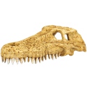 Repti-Zoo Crocodile Skull M - crocodile skull